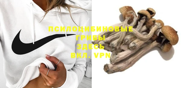 спиды Алексеевка