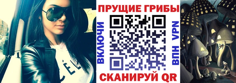 Галлюциногенные грибы Psilocybe  гидра онион  Сатка 
