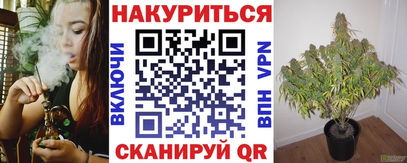 MEGA ТОР  купить закладку  Сатка  Каннабис семена 